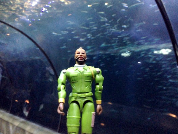 Underwater at the Oregon Coast Aquarium