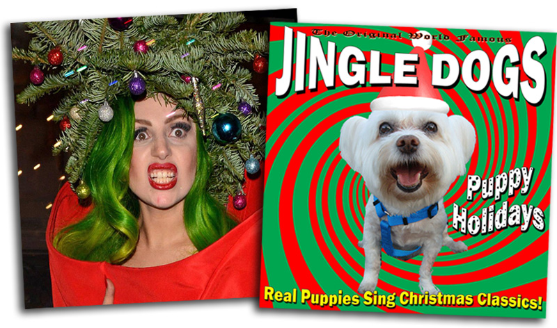 Lady Gaga vs Jingle Dogs