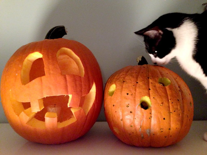 Quint, the jack-o-lantern inspector